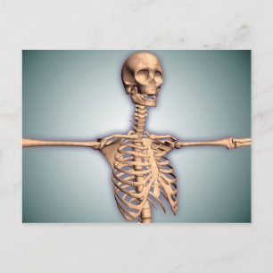 Conceptual Image Of Human Rib Cage And Spinal Postcard