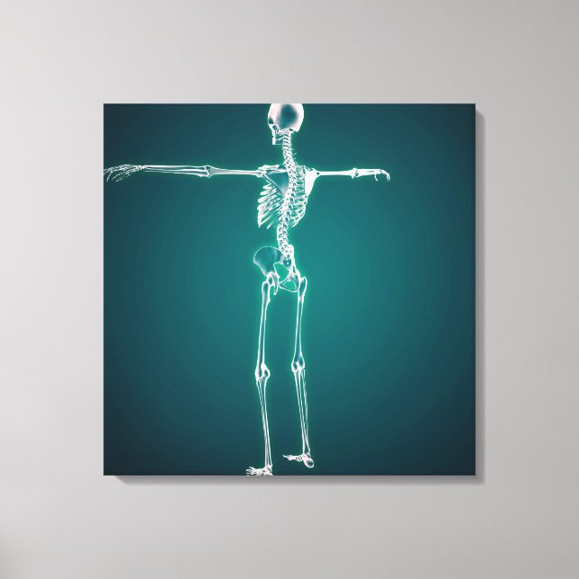 Conceptual Image Of Human Skeletal System Canvas Print (Front)