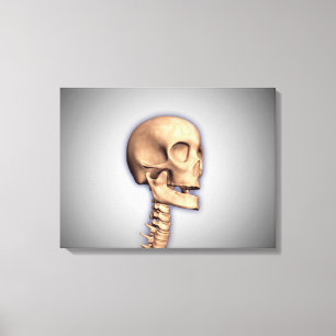 Conceptual Image Of Human Skull & Spinal Cord 2 Canvas Print