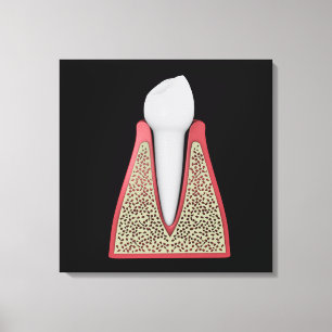 Conceptual Image Of Human Tooth 1 Canvas Print