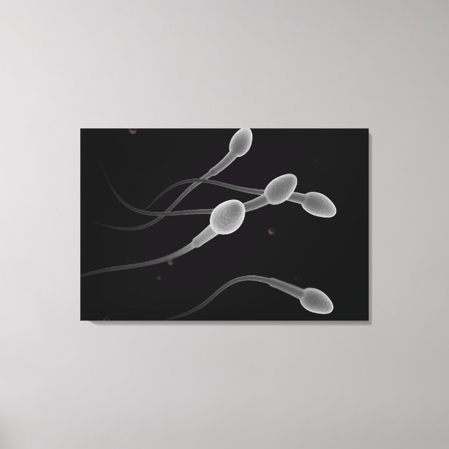 Conceptual Image Of Male Sperm Canvas Print (Front)