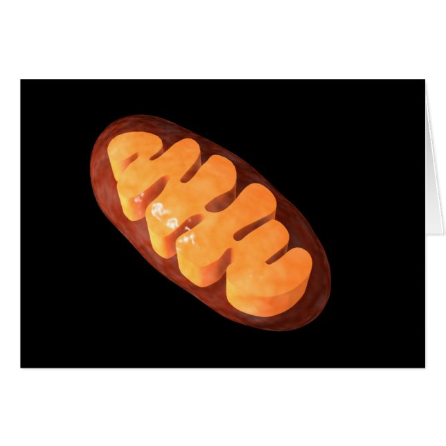 Conceptual Image Of Mitochondria 1 (Front Horizontal)