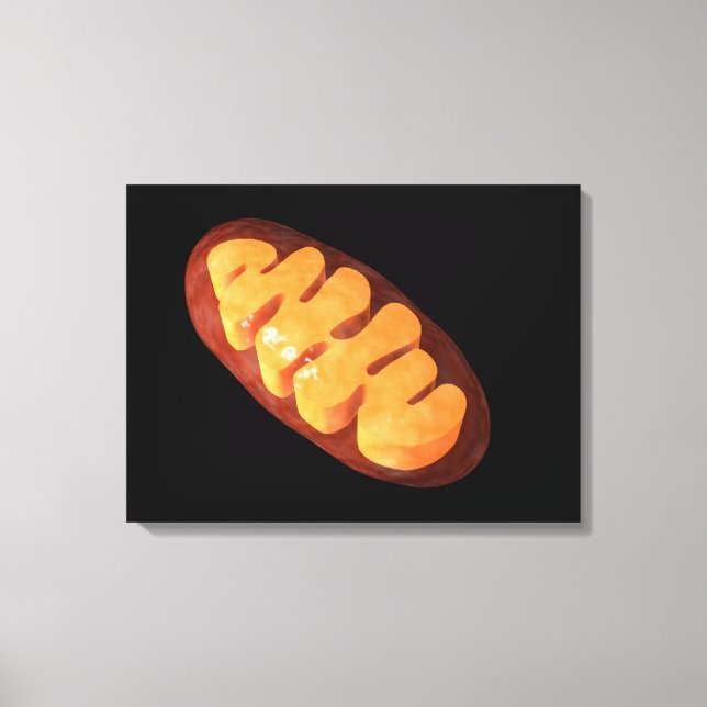 Conceptual Image Of Mitochondria 1 Canvas Print (Front)