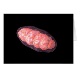 Conceptual Image Of Mitochondria 2
