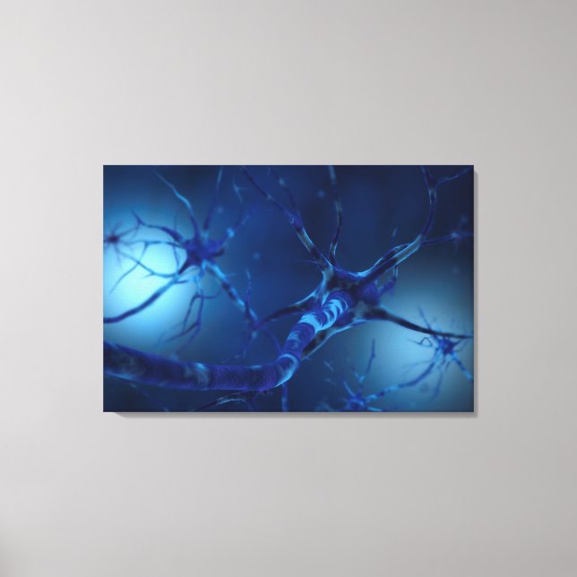 Conceptual Image Of Neuron 2 Canvas Print (Front)