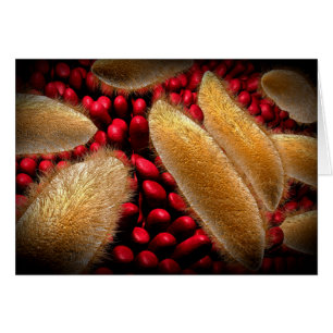 Conceptual Image Of Paramecium 1