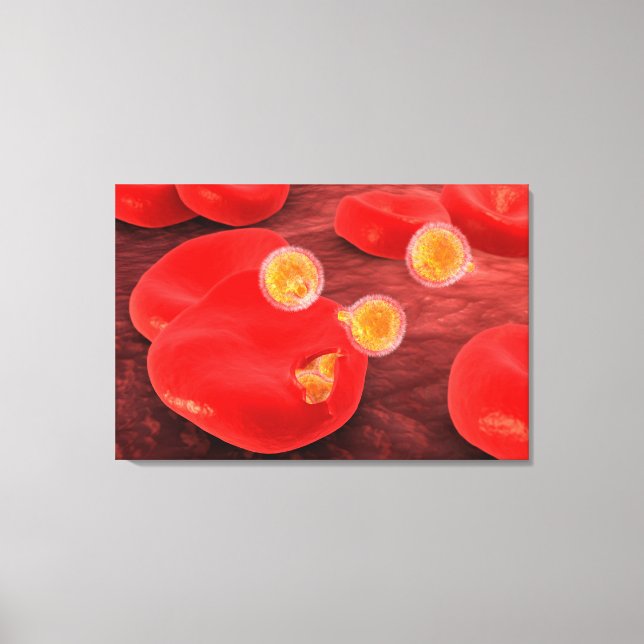 Conceptual Image Of Paramecium 2 Canvas Print (Front)