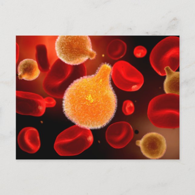 Conceptual Image Of Plasmodium Causing Malaria 2 Postcard (Front)