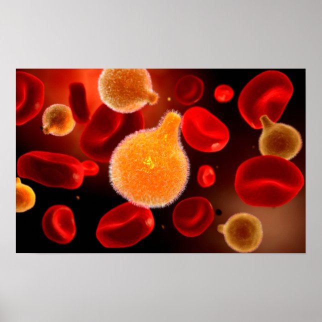 Conceptual Image Of Plasmodium Causing Malaria 2 Poster (Front)