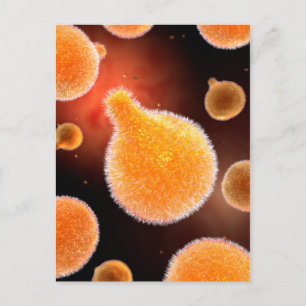 Conceptual Image Of Plasmodium Causing Malaria 3 Postcard