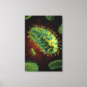 Conceptual Image Of Rabies Virus 1 Canvas Print