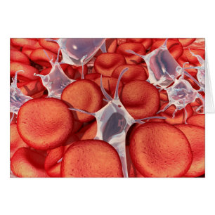 Conceptual Image Of Red Blood Cells 2
