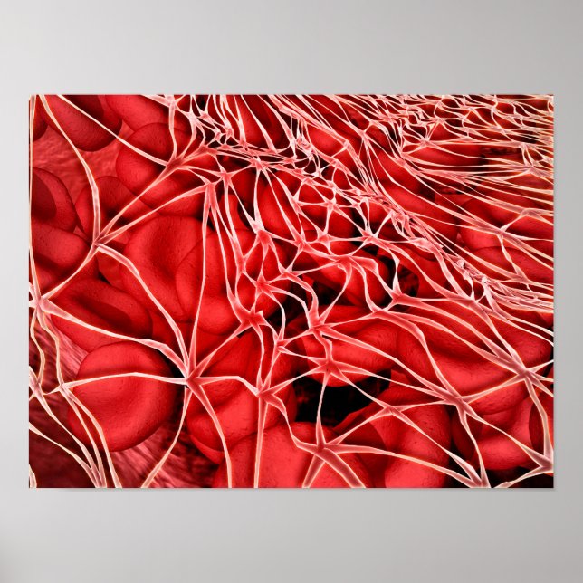 Conceptual Image Of Red Blood Cells With Fibrin Poster (Front)
