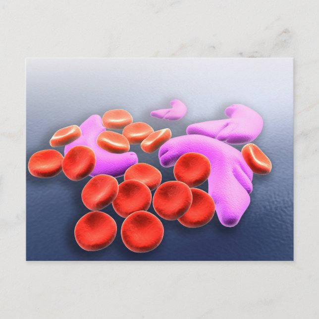 Conceptual Image Of Sickle Cell Anaemia Postcard (Front)