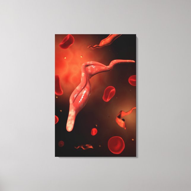 Conceptual Image Of Trypanosoma 1 Canvas Print (Front)
