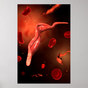Conceptual Image Of Trypanosoma 1 Poster