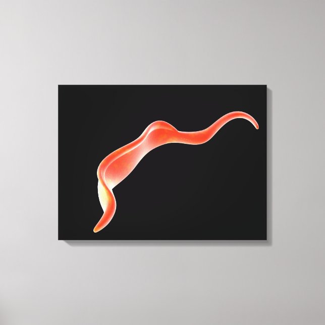 Conceptual Image Of Trypanosoma 2 Canvas Print (Front)
