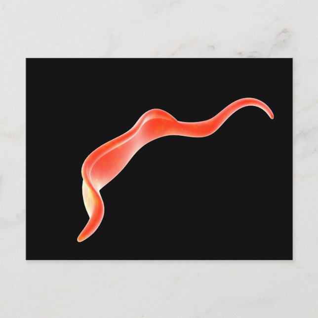 Conceptual Image Of Trypanosoma 2 Postcard (Front)