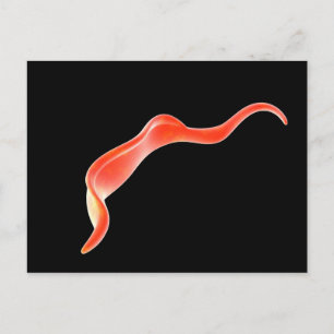 Conceptual Image Of Trypanosoma 2 Postcard