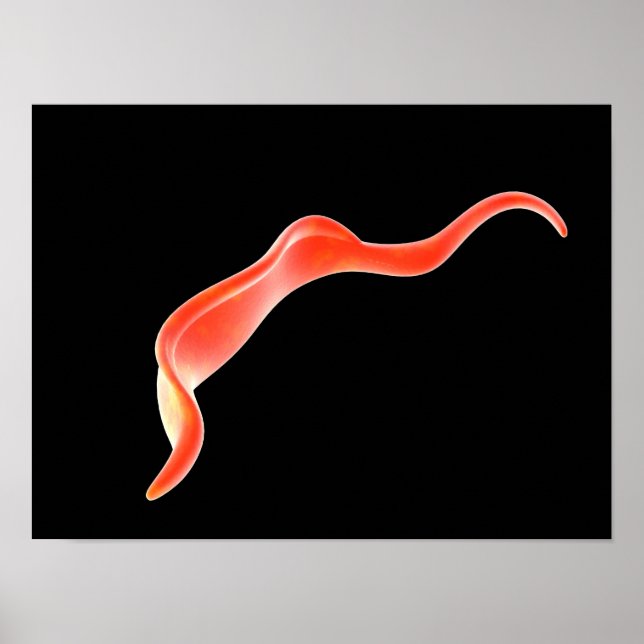 Conceptual Image Of Trypanosoma 2 Poster (Front)
