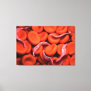 Conceptual Image Of Trypanosoma 3 Canvas Print