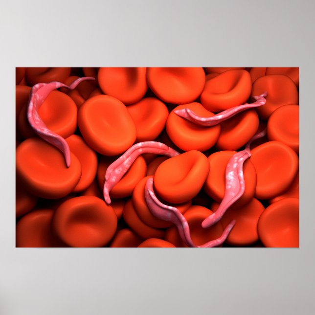Conceptual Image Of Trypanosoma 3 Poster (Front)