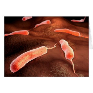 Conceptual Image Of Vibrio Cholerae 1