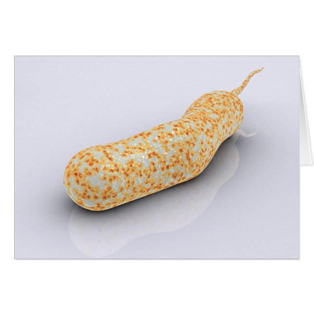 Conceptual Image Of Vibrio Cholerae 3 (Front Horizontal)