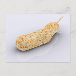 Conceptual Image Of Vibrio Cholerae 3 Postcard