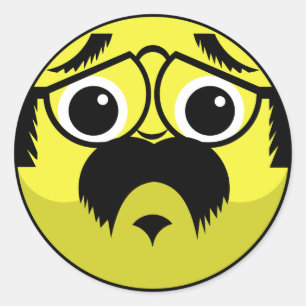 Concerned Face Classic Round Sticker