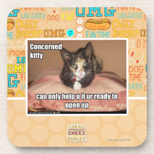 Concerned Kitty Coaster