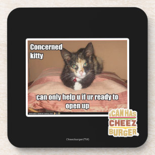 Concerned Kitty Coaster