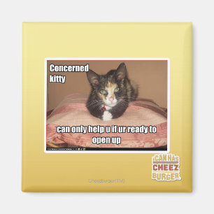Concerned Kitty Magnet