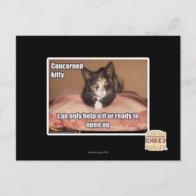 Concerned Kitty Postcard (Front)