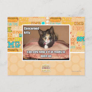 Concerned Kitty Postcard