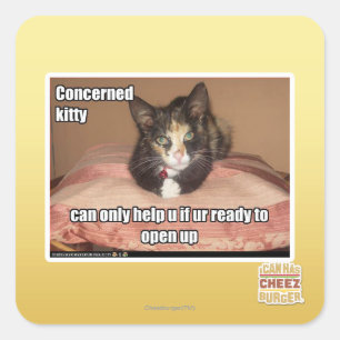 Concerned Kitty Square Sticker