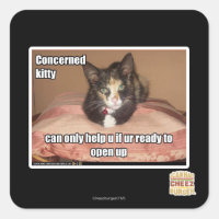 Concerned Kitty