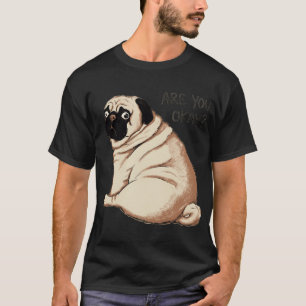 Concerned Pug Saying Are You Okay T-Shirt