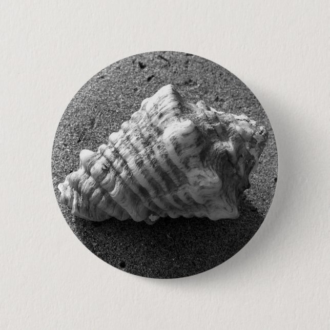 Conch Seashell Sand Beach Button Pendant (Front)
