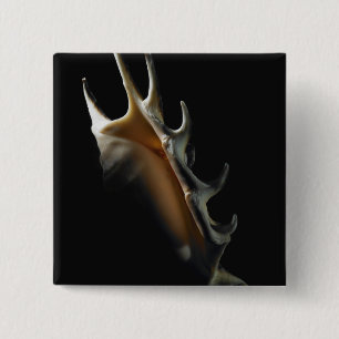 Conch shell 15 cm square badge