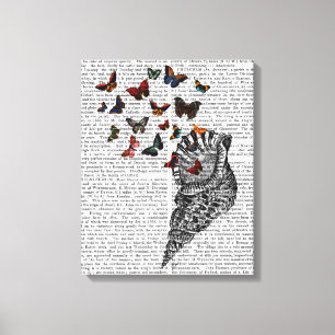 Conch Shell and Butterflies Canvas Print