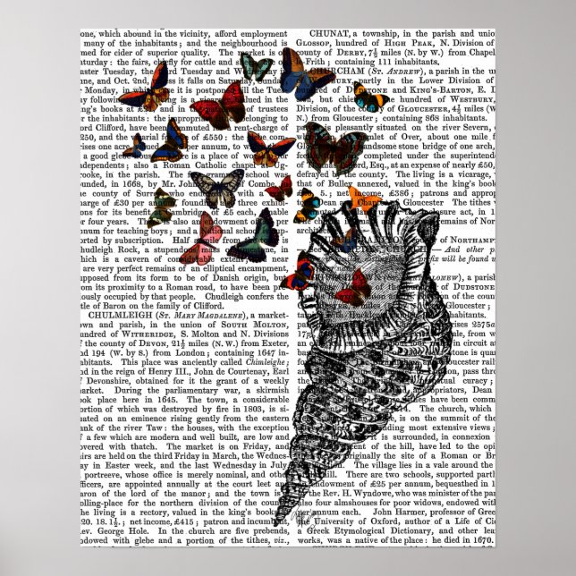 Conch Shell and Butterflies Poster (Front)