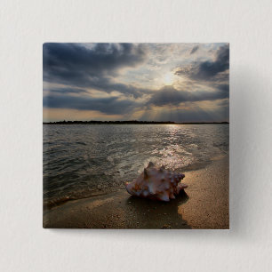Conch Shell At Beach St. Augustine, Fl 15 Cm Square Badge