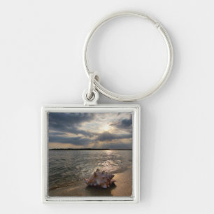 Conch Shell At Beach St. Augustine, Fl Key Ring