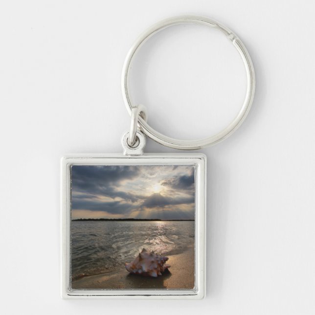 Conch Shell At Beach | St. Augustine, Fl Key Ring (Front)