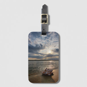 Conch Shell At Beach St. Augustine, Fl Luggage Tag