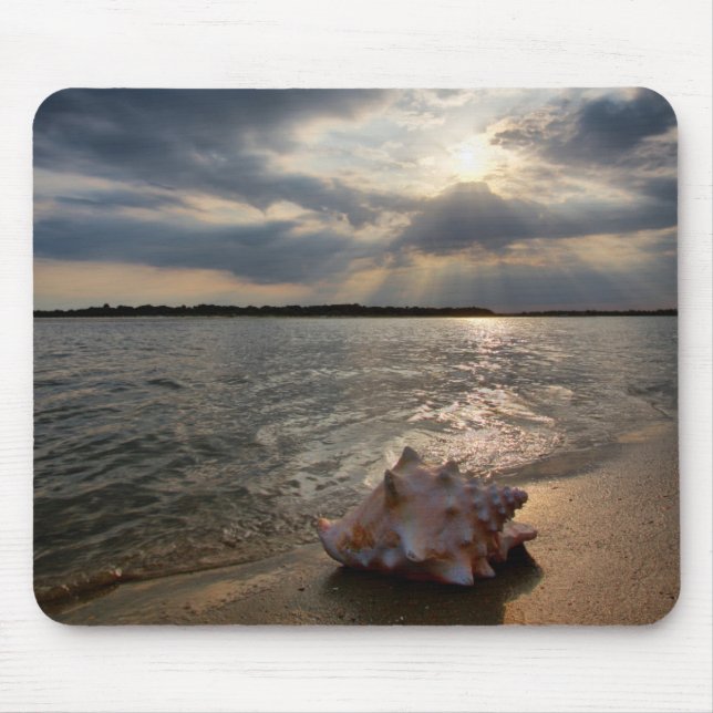 Conch Shell At Beach | St. Augustine, Fl Mouse Mat (Front)