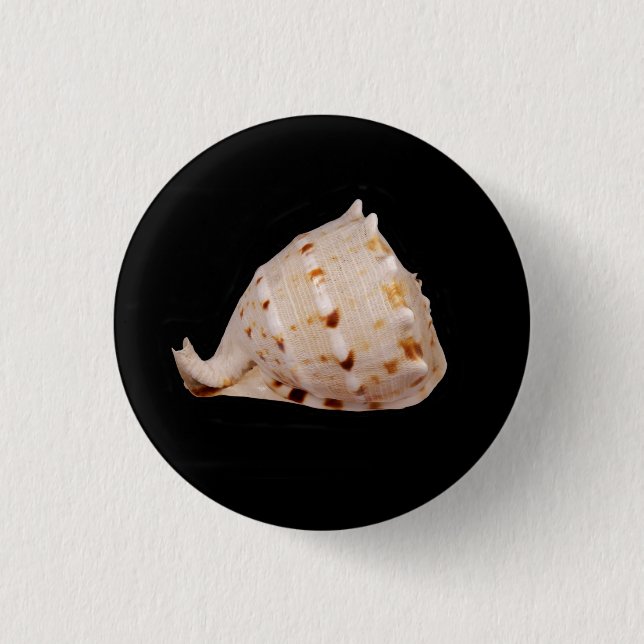 Conch Shell Badge (Front)