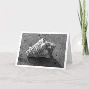 Conch Shell (Black and White) Card
