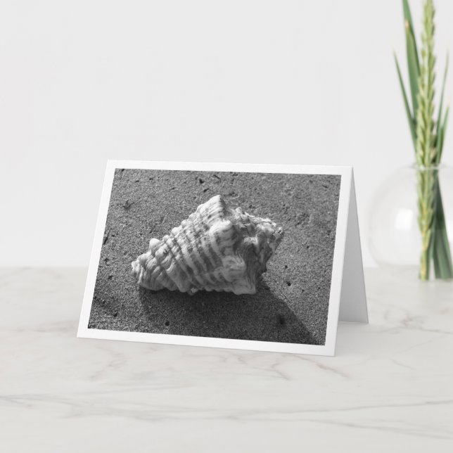Conch Shell (Black and White) Card (Front)